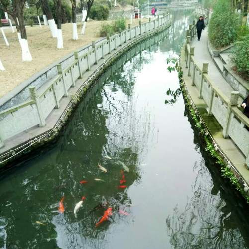 竹溪公园旅行图片 1