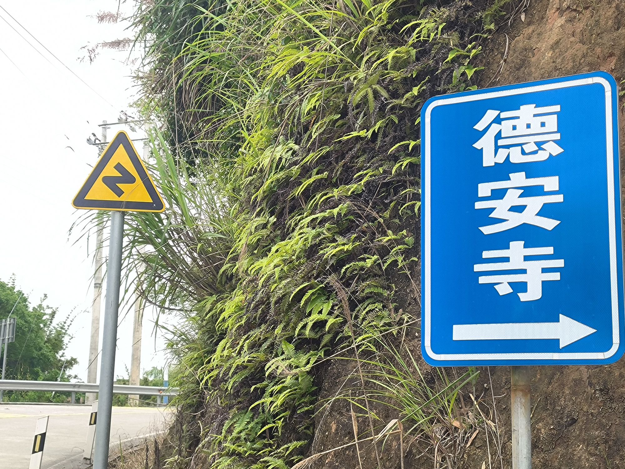 德安寺实景照片