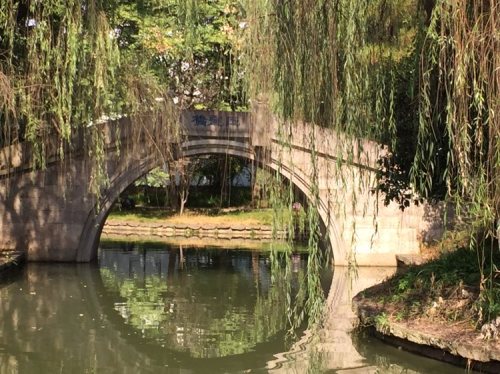 太平桥公园旅行图片 1