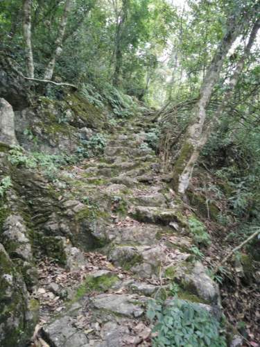 野猪岭风景区旅行图片 3