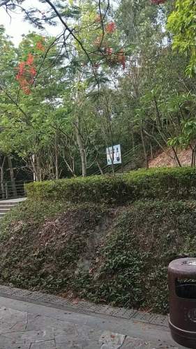 鹅公岭社区公园旅行图片 3