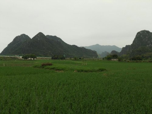 茅坡文化南楼旅行图片 2
