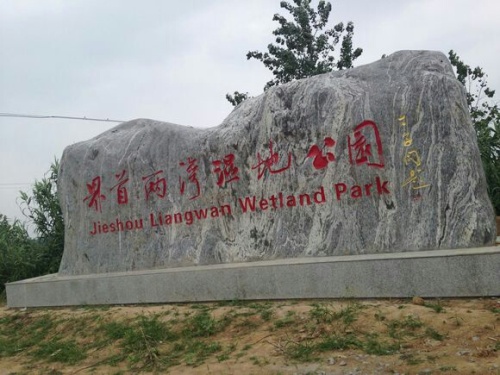 安徽界首两湾国家湿地公园旅行图片 1