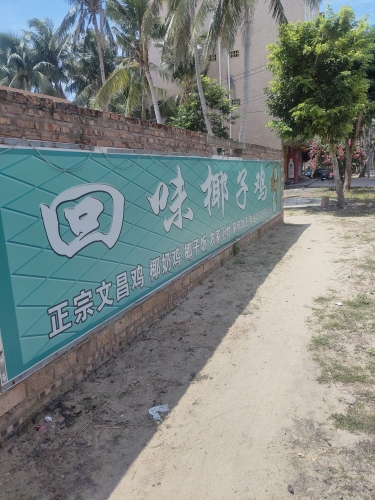 回味椰子鸡