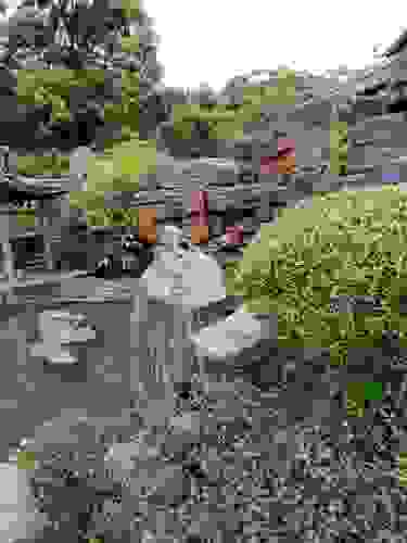 龙井村旅行图片 2