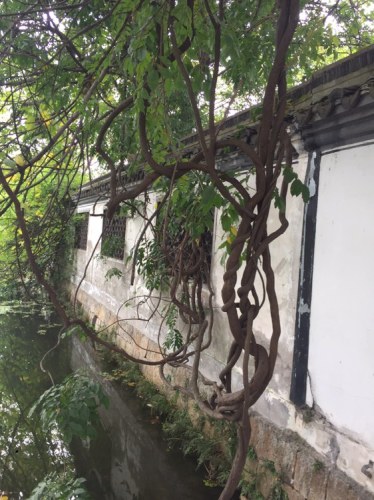 鹿湖园旅行图片 3