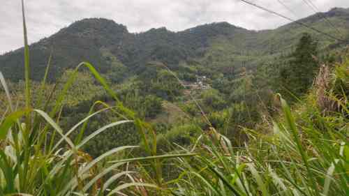 权隆风景区旅行图片 2