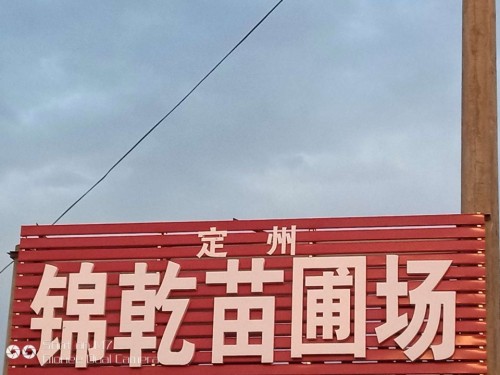定州锦乾苗圃场