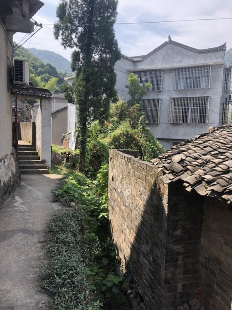 上冯古村生态旅游区景点图片