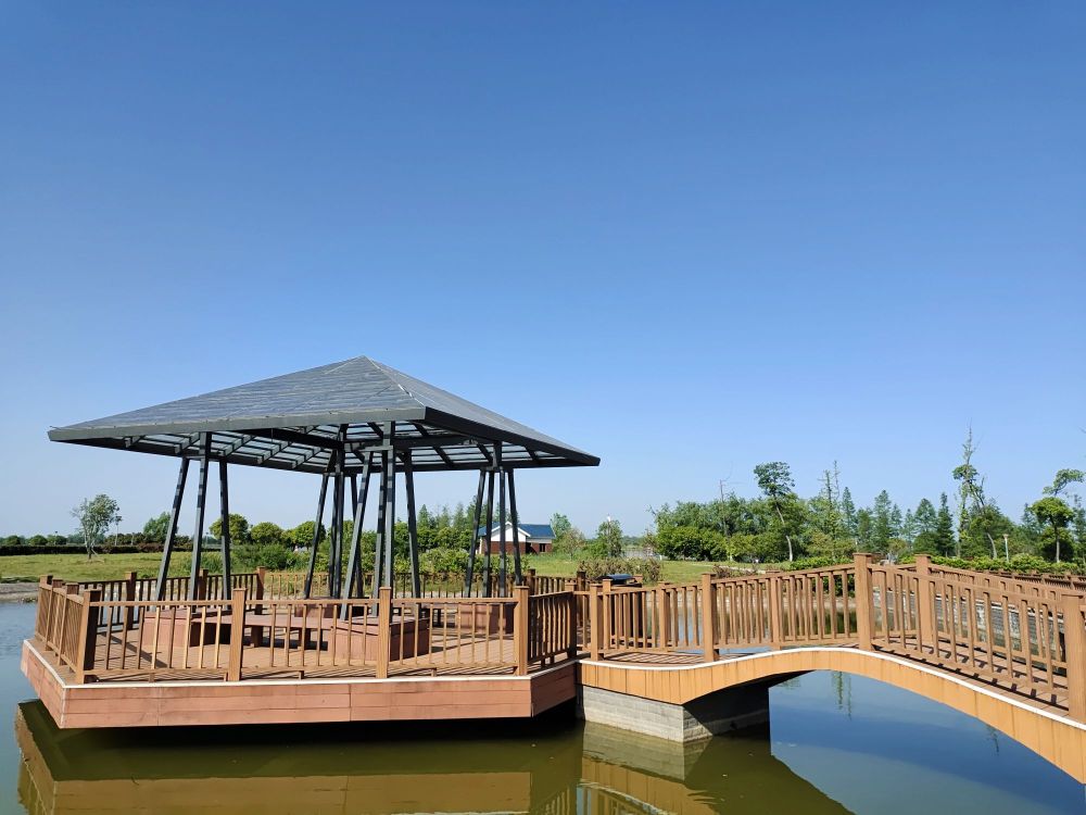 西湖城市湿地公园景点图片