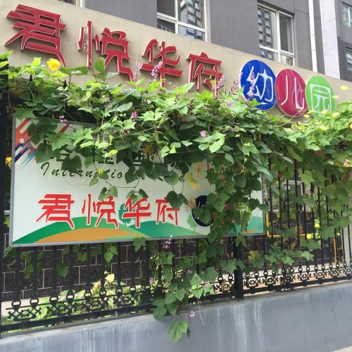 君悦华府幼儿园