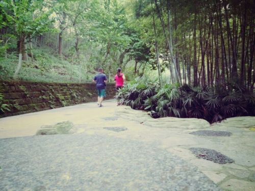 雨台山公园旅行图片 1