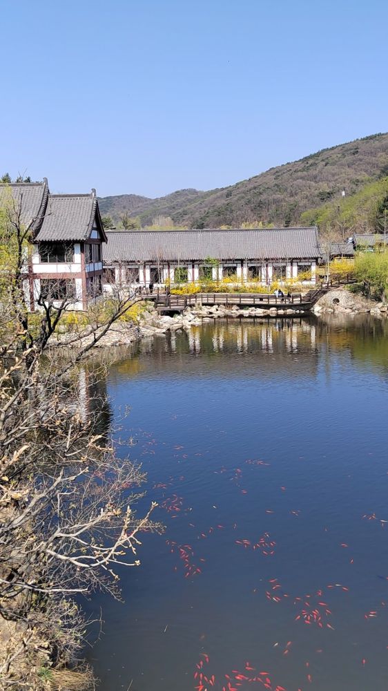 大连横山公园景点图片