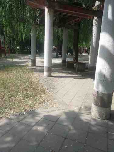 秋实旅行图片
