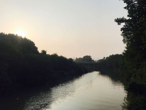蓝溪湿地公园旅行图片 1