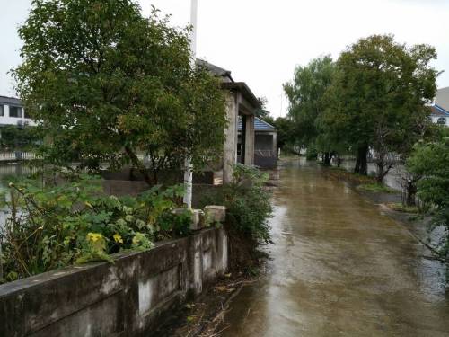 秣陵关公园旅行图片 3