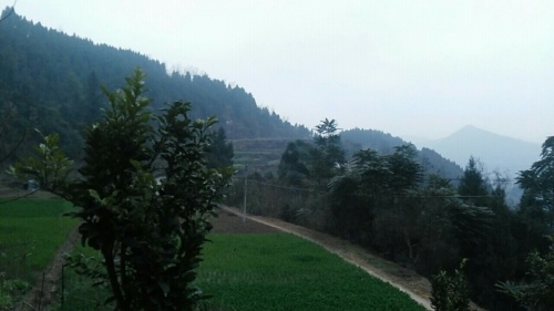 魏家观二社旅行图片 2