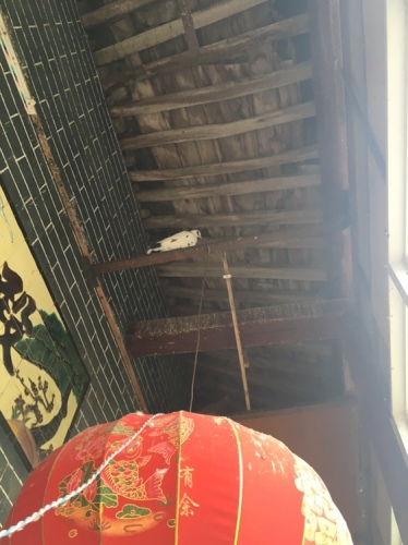 祖师宫旅行图片 2
