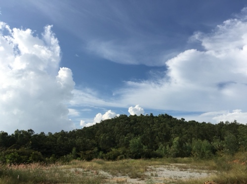 丽山森林公园旅行图片 3