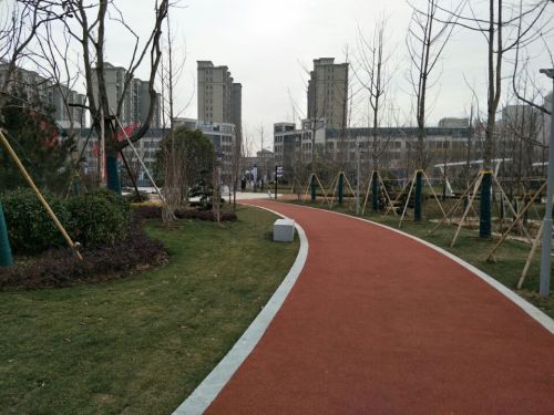 微山阳光公园旅行图片 2
