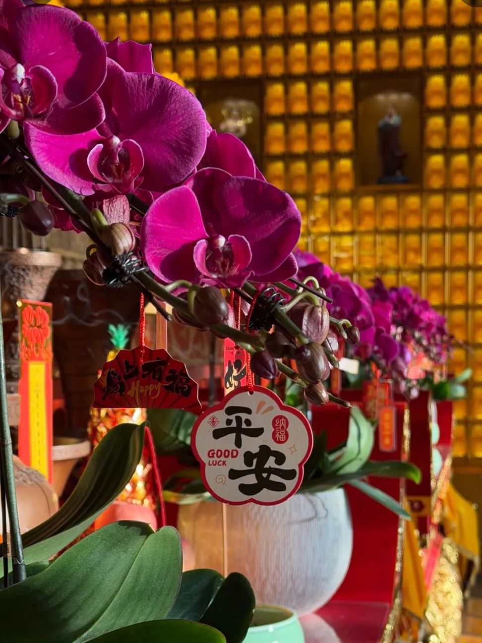解脱寺实景照片