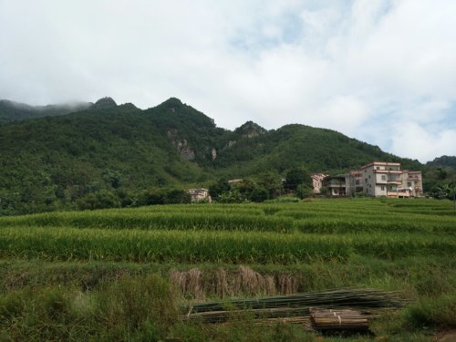 古水镇森林公园旅行图片 3
