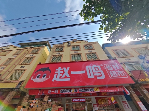 赵一鸣省钱超市(海南乐东万冲镇店)