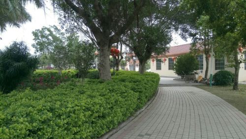 胜前公园旅行图片 2