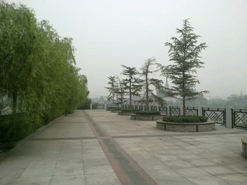 滏源公园旅行图片 2