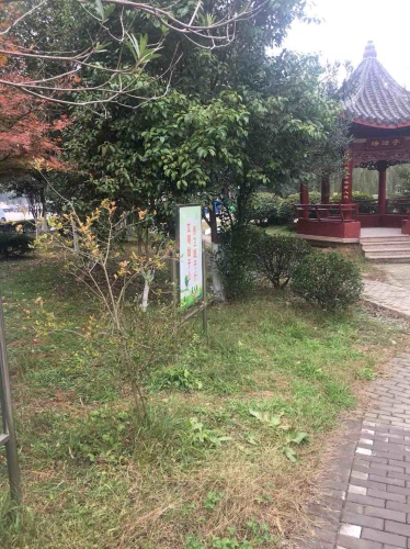 越茂公园旅行图片 2