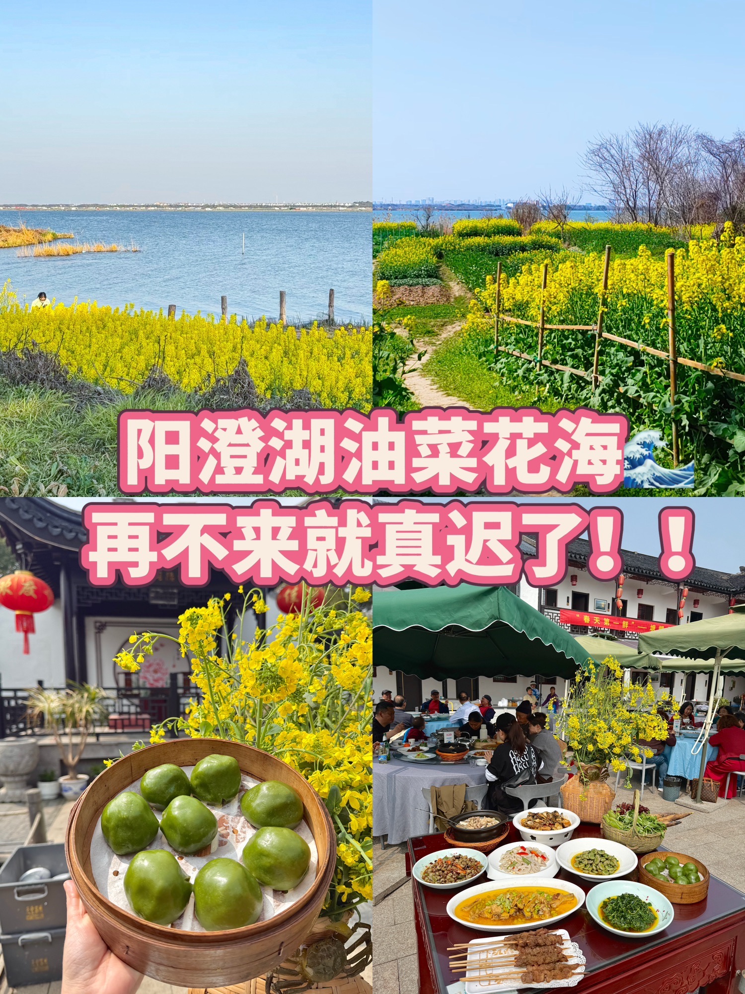 鱼米之乡十八灶·农家乐·阳澄湖大闸蟹