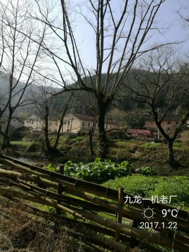 江西省九龙庙森林公园旅行图片 1