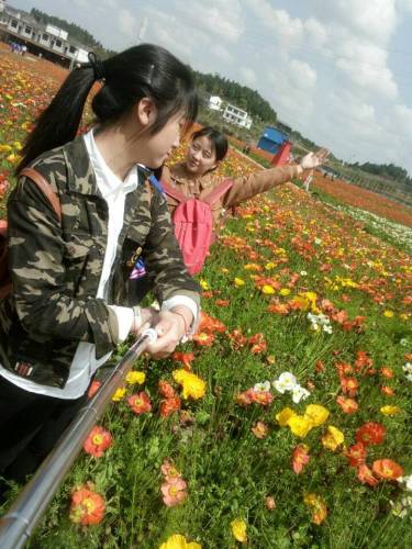 中国有机生活公园(建设中)旅行图片 1