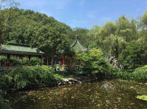望春园旅行图片 2