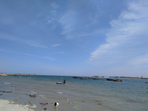 卓达海洋公园旅行图片 1