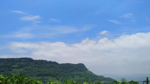 农业公园旅行图片 2
