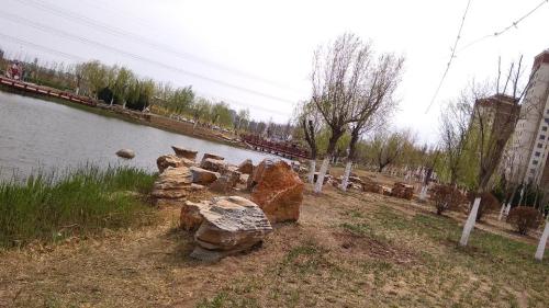 赤龙公园旅行图片 3