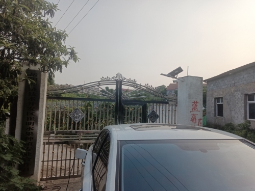岳阳经济技术开发区崔水果种植专业合作社实景图