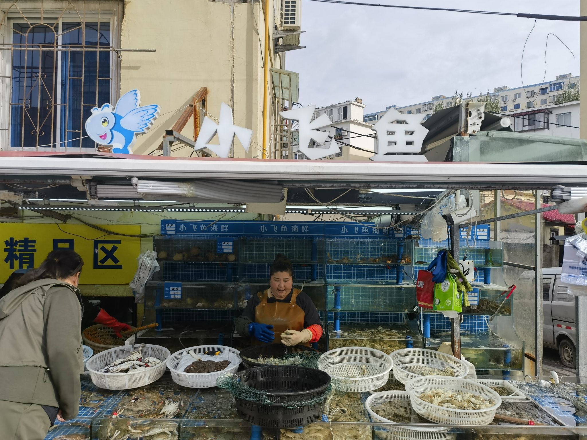 小飞鱼海鲜