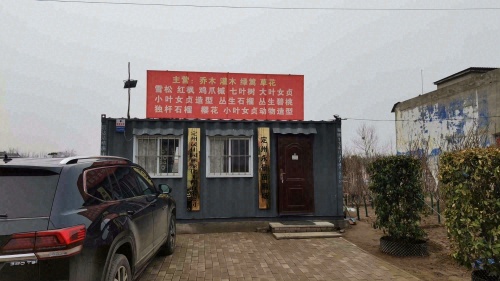 定州红中苗圃绿化场