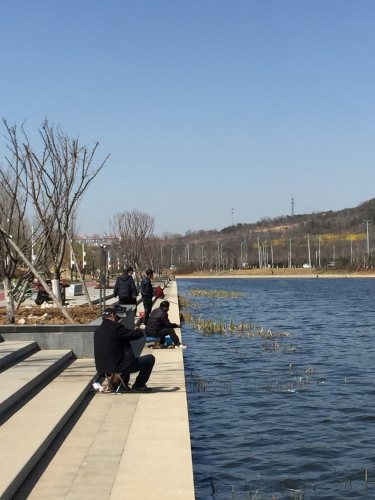 龙河公园旅行图片 2