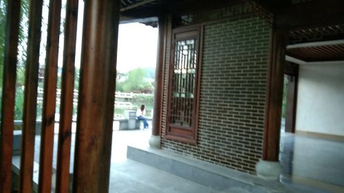 十里荷塘旅行图片 1