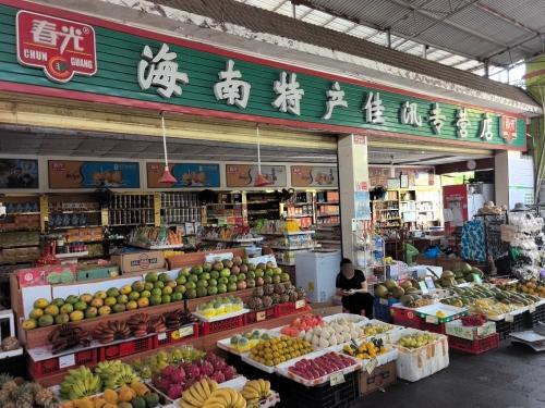 海南特产佳讯专营店