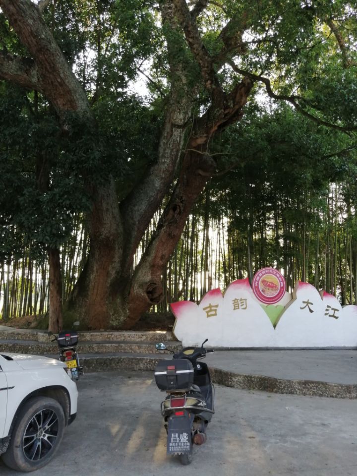 侯王古庙实景照片