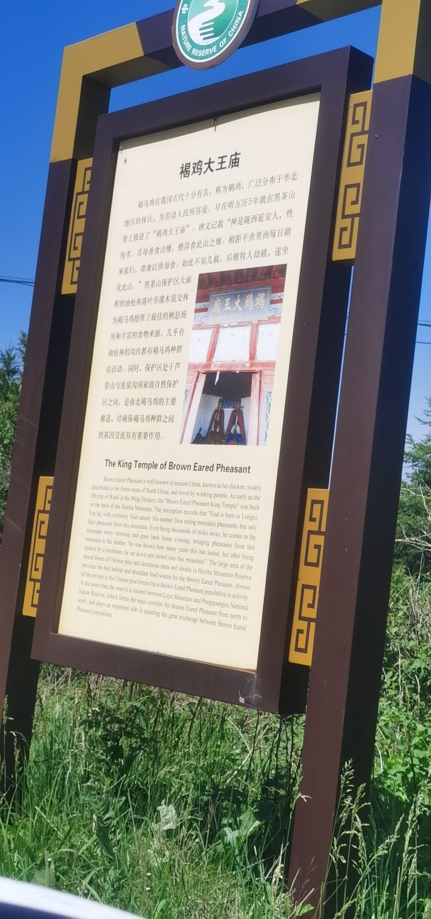 带王庙实景照片