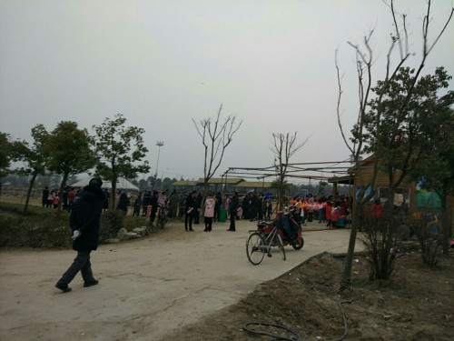 西淝河湿地公园旅行图片 3