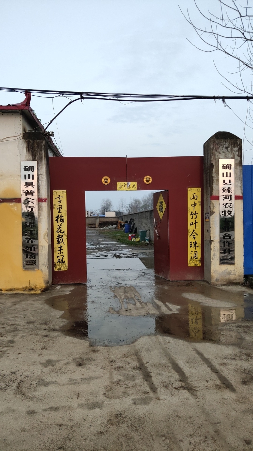确山县普会寺镇锦江牧业养殖场实景照片
