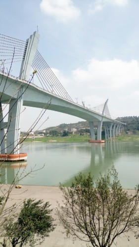 滨江公园旅行图片 2