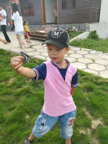 福船湿地旅游度假区旅行图片 2