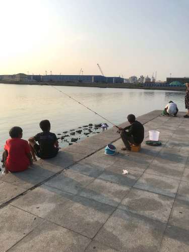海滨公园旅行图片 2